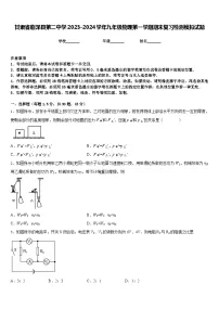甘肃省临泽县第二中学2023-2024学年九年级物理第一学期期末复习检测模拟试题含答案