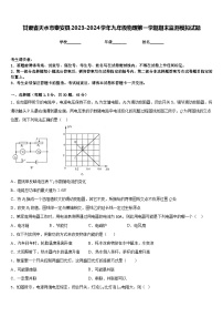 甘肃省天水市秦安县2023-2024学年九年级物理第一学期期末监测模拟试题含答案