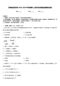 甘肃省省定西市2023-2024学年物理九上期末质量跟踪监视模拟试题含答案