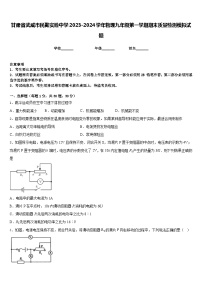 甘肃省武威市民勤实验中学2023-2024学年物理九年级第一学期期末质量检测模拟试题含答案