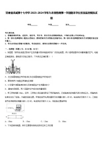 甘肃省武威第十七中学2023-2024学年九年级物理第一学期期末学业质量监测模拟试题含答案