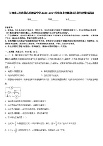 甘肃省庆阳市陇东院附属中学2023-2024学年九上物理期末达标检测模拟试题含答案
