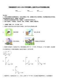 甘肃省临夏市2023-2024学年物理九上期末学业水平测试模拟试题含答案