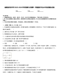 福建省华安中学2023-2024学年物理九年级第一学期期末学业水平测试模拟试题含答案