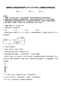 福建省厦门外国语海沧附属学校2023-2024学年九上物理期末统考模拟试题含答案