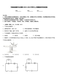 甘肃省酒泉市瓜州县2023-2024学年九上物理期末检测试题含答案