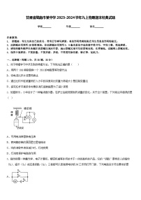 甘肃省陇南市某中学2023-2024学年九上物理期末经典试题含答案