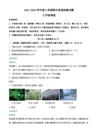 山东省临沂市兰山区2023-2024学年九年级上学期期末物理试题