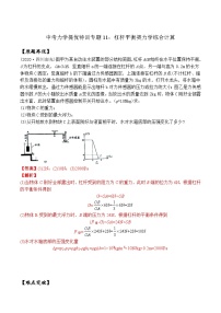 专题11 杠杆平衡类力学综合计算（教师版含解析）-中考物理力学提优特训专题