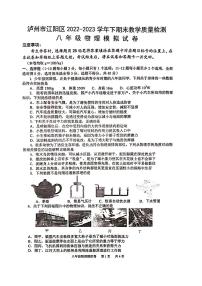 四川省泸州市江阳区2022-2023学年八年级下学期期末物理模拟试题