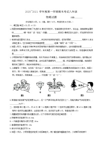 河南省漯河市临颍县2020-2021学年八年级上学期期末考试物理试题