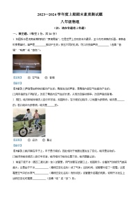 河南省驻马店市汝南县2023-2024学年八年级上学期1月期末物理试题