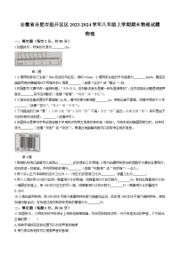 安徽省合肥市经开区区2023-2024学年八年级上学期期末物理试题(无答案)