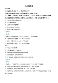 山东省菏泽市定陶区2023-2024学年九年级上学期期末考试物理试题