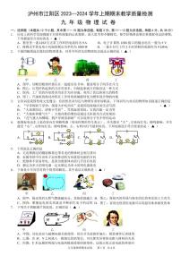 四川省泸州市江阳区2023-2024学年九年级上学期期末考试物理试题（含答案）