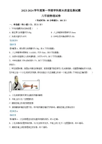 广东省惠州市第五中学2023-2024学年八年级上学期期末质量监测物理试题