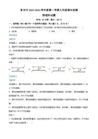 海南省东方市2023-2024学年九年级上学期期末检测物理试题