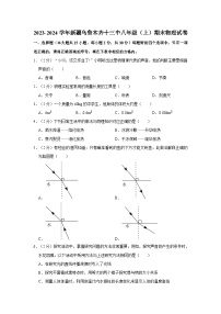 新疆乌鲁木齐市第十三中学2023-2024学年八年级上学期期末物理试卷