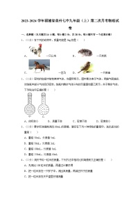 福建省泉州市第七中学2023-2024学年九年级上学期月考物理试卷