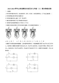 2023-2024学年山东省潍坊市昌邑市九年级（上）期末物理试卷-普通用卷