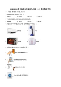 2023-2024学年北京市海淀区九年级（上）期末物理试卷（含解析）