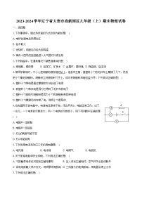 2023-2024学年辽宁省大连市高新园区九年级（上）期末物理试卷（含解析）