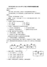四川省达州市2023-2024学年九年级上册期考物理模拟试题（附答案）