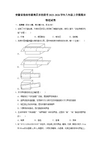 安徽省淮南市潘集区多校联考2023-2024学年八年级上学期期末物理试卷+