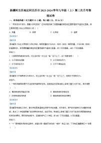 52，新疆阿克苏地区阿克苏市2023-2024学年九年级上学期第三次月考物理试题