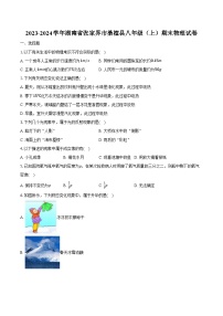 2023-2024学年湖南省张家界市桑植县八年级（上）期末物理试卷（含解析）