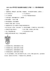 2023-2024学年四川省成都市高新区九年级（上）期末物理试卷（含解析）