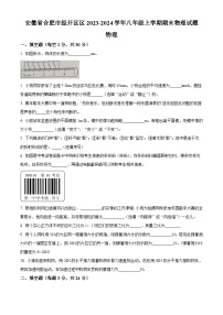 安徽省合肥市经开区区2023-2024学年八年级上学期期末物理试题（原卷+解析）