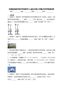 安徽省淮南市部分学校联考2024届九年级上学期1月月考物理试卷(含答案)