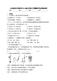 山东省枣庄市滕州市2024届九年级上学期期中考试物理试卷(含答案)