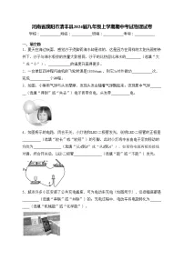 河南省濮阳市清丰县2024届九年级上学期期中考试物理试卷(含答案)