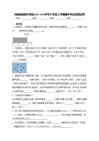 河南省信阳市息县2023-2024学年八年级上学期期中考试物理试卷(含答案)