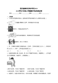 四川省阆中东风中学校2023-2024学年八年级上学期期中考试物理试卷(含答案)