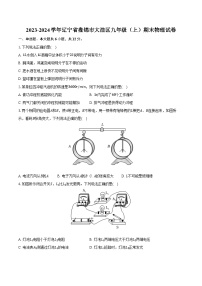 2023-2024学年辽宁省盘锦市大洼区九年级（上）期末物理试卷（含解析）