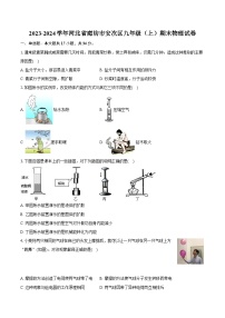 2023-2024学年河北省廊坊市安次区九年级（上）期末物理试卷（含解析）