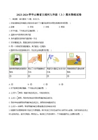 2023-2024学年云南省大理州九年级（上）期末物理试卷（含解析）