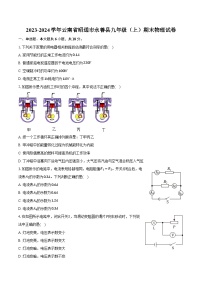 2023-2024学年云南省昭通市永善县九年级（上）期末物理试卷（含解析）