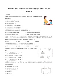 2023-2024学年广东省云浮市罗定市八校联考九年级（上）期末物理试卷（含解析）