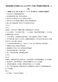 陕西省商洛市洛南县2023-2024学年八年级上学期期末物理试题（A卷）（原卷+解析）