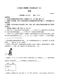 06，河南省安阳市林州市2023-2024学年九年级上学期12月月考物理试题