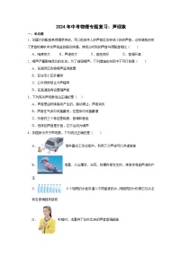 2024年中考物理专题复习：声现象（含答案）