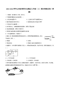 08，山东省菏泽市定陶区2023-2024学年九年级上学期期末物理试卷（样题）