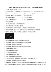 甘肃省陇南市2023-2024学年九年级上学期期末物理试卷