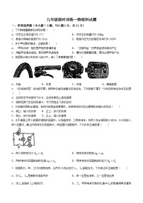 广东省中山市一中中学2023-2024学年九年级物理下学期开学考试题()