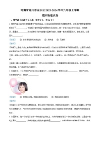 河南省郑州市金水区2023-2024学年九年级上学期期末物理试题