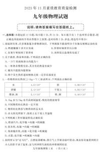 山东省菏泽市曹县2023-2024学年九年级上学期期中考试物理试题